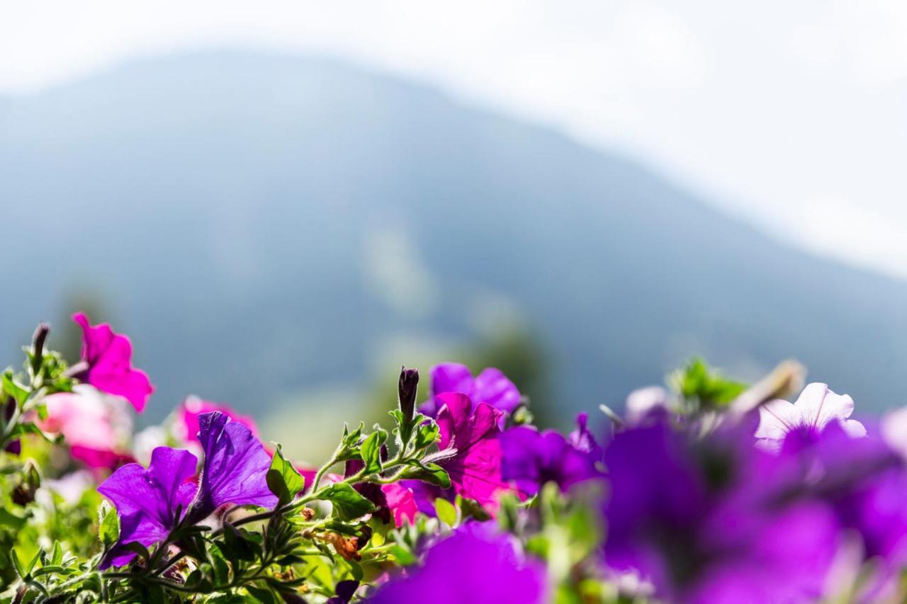 Hotel-garni Bergidyll 2* Pfronten